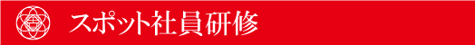 スポット社員研修